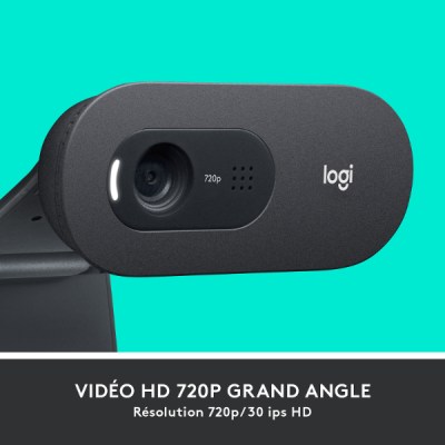 Logitech HD Webcam C505E-2